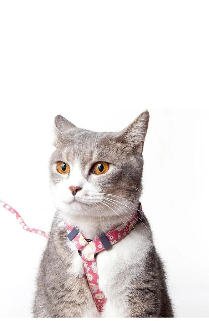 商品PETKIT|Touchcat Radi-Claw Durable Cable Cat Harness and Leash Combo - Medium,价格¥179,第3张图片详细描述