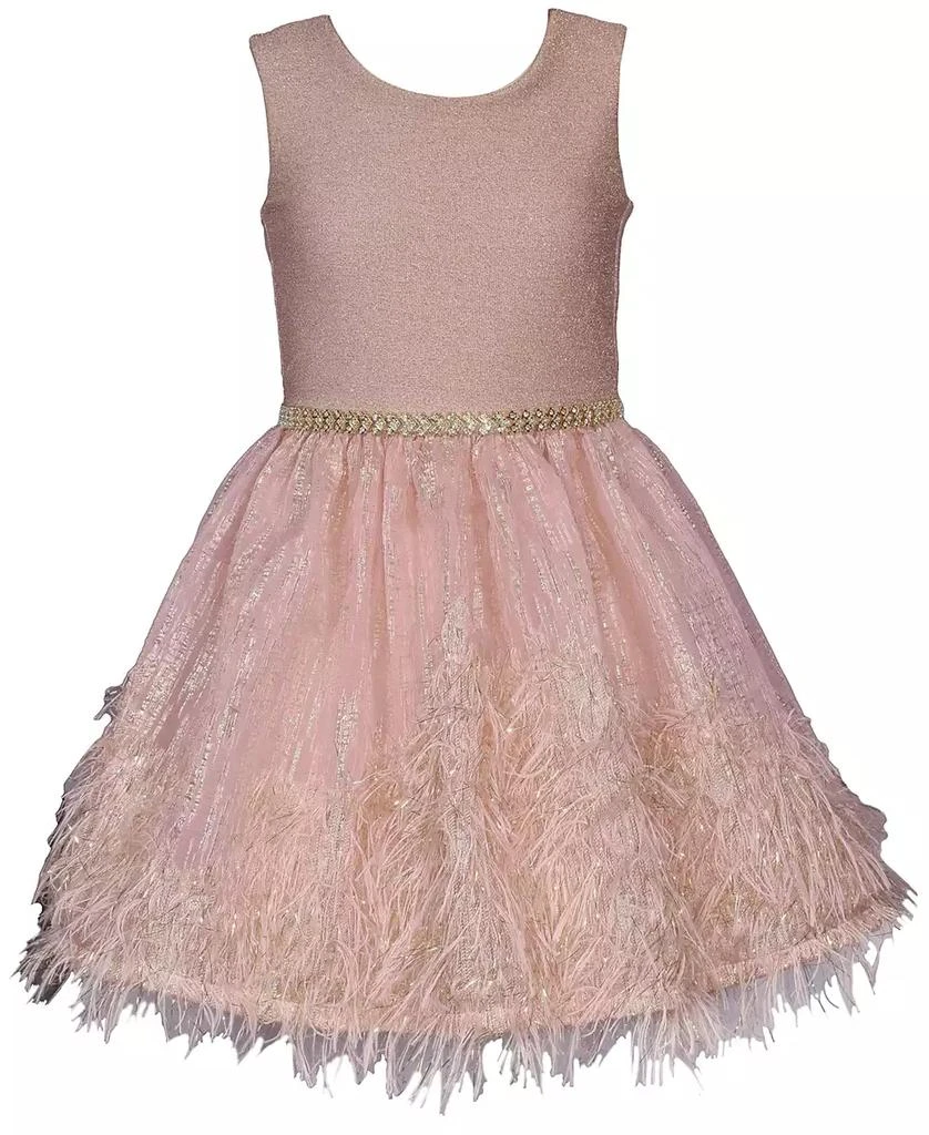 商品Bonnie Jean|Little Girls Sparkle Knit to Feather Border Party Dress,价格¥348,第1张图片