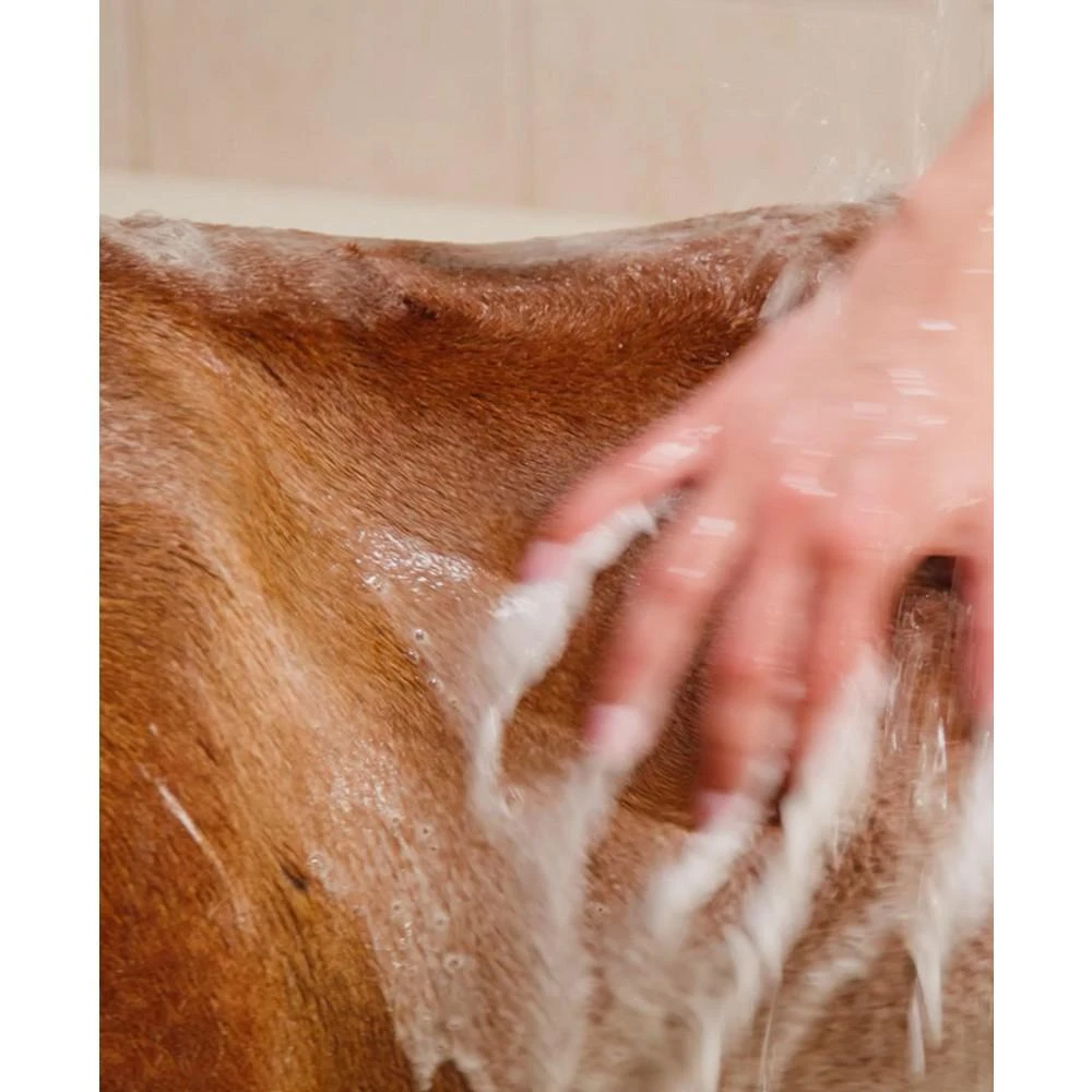 商品Petcode Paws|Hypoallergenic Shampoo Puppy, Dog Shampoo with Argan Oil,价格¥150,第4张图片详细描述