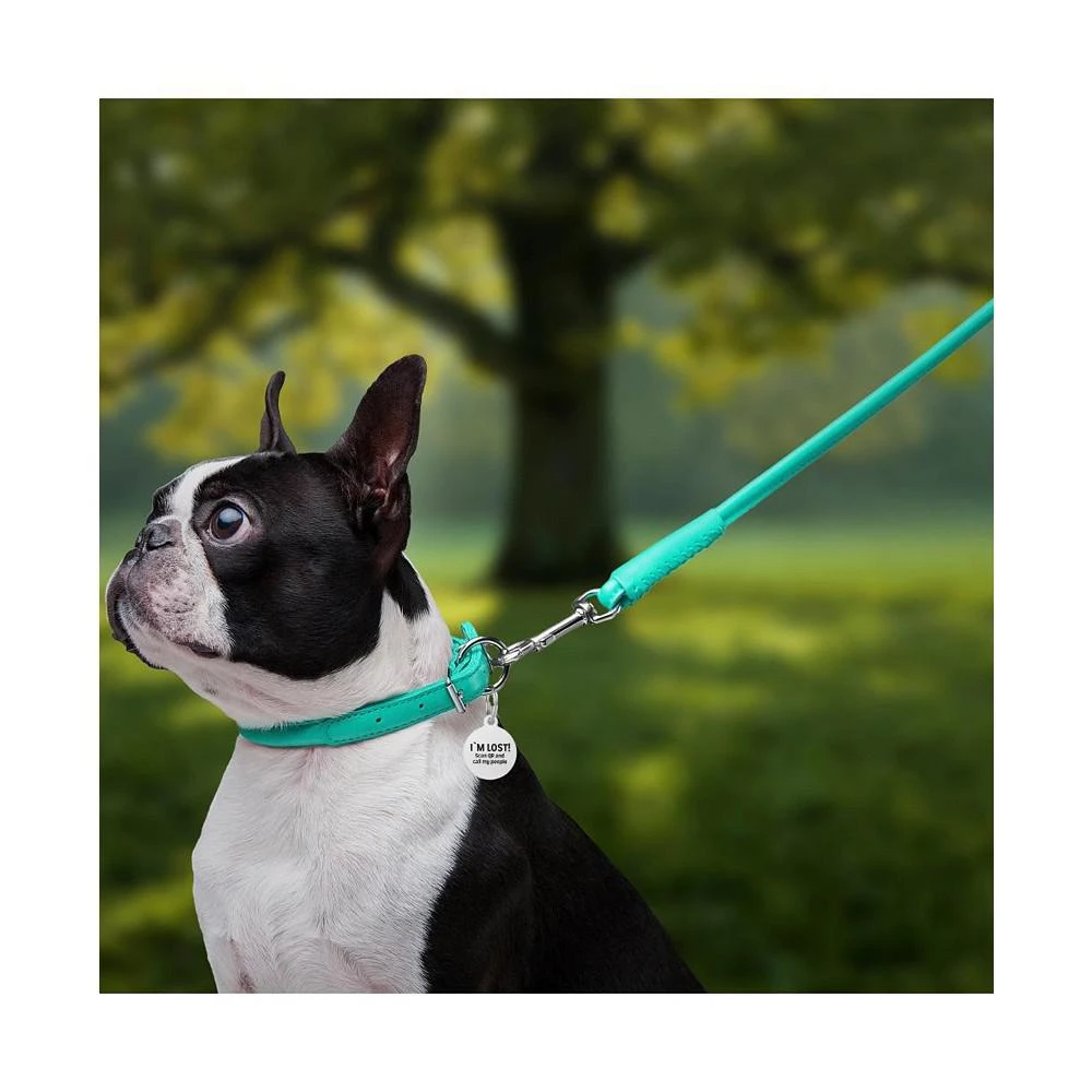 商品Waudog|Glamour genuine leather dog leash, rolled,价格¥268,第2张图片详细描述