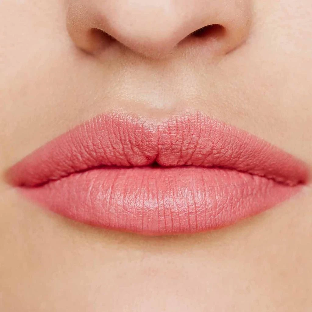 Wild With Desire Lipstick 商品