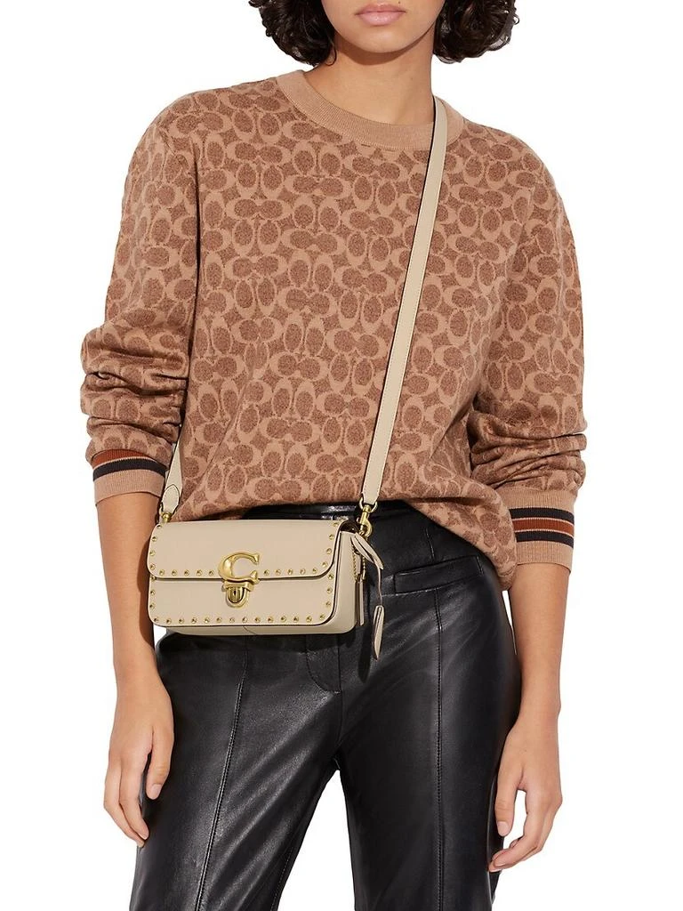 Studded Leather Shoulder Bag 商品