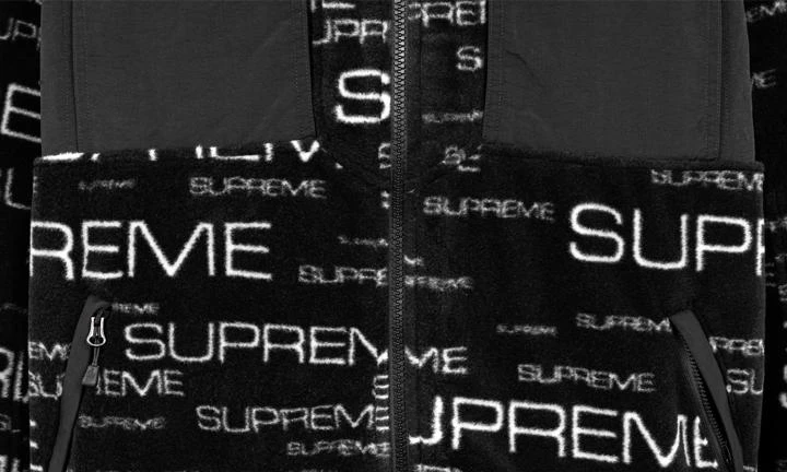 商品Supreme|Supreme TNF Steep Tech Fleece Jacket,价格¥3056-¥3811,第3张图片详细描述