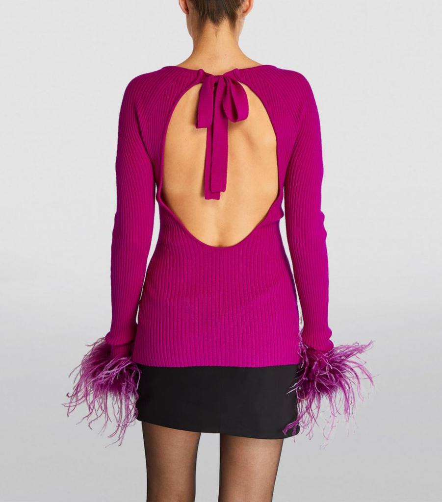 商品GIUSEPPE DI MORABITO|Wool Feather-Trimmed Sweater,价格¥4318,第6张图片详细描述