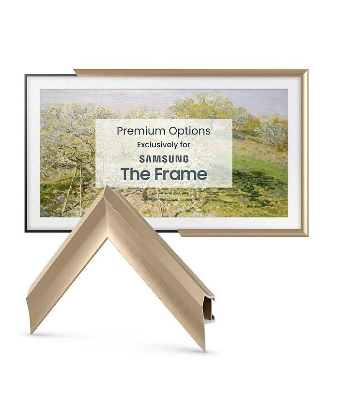 43" Alloy Prismatic Frame for Samsung The Frame TV 2021-2024 商品