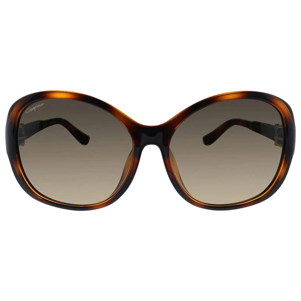 商品Salvatore Ferragamo|Ferragamo Women's Brown Square Sunglasses,价格¥521,第2张图片详细描述