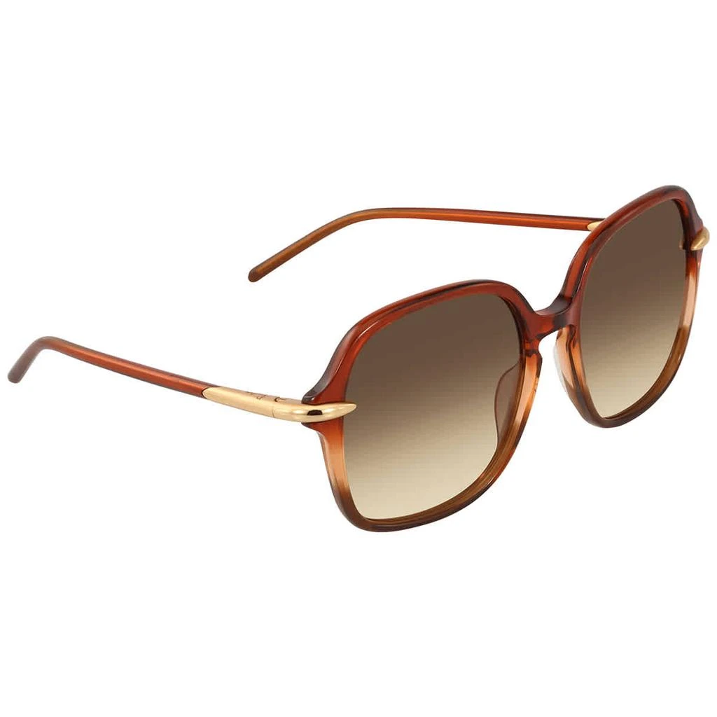 商品Pomellato|Pomellato Brown Square Ladies Sunglasses PM0035S 002 56,价格¥532,第1张图片