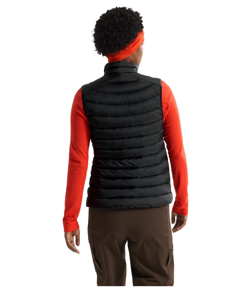 商品Arc'teryx|Cerium Vest,价格¥1620,第3张图片详细描述