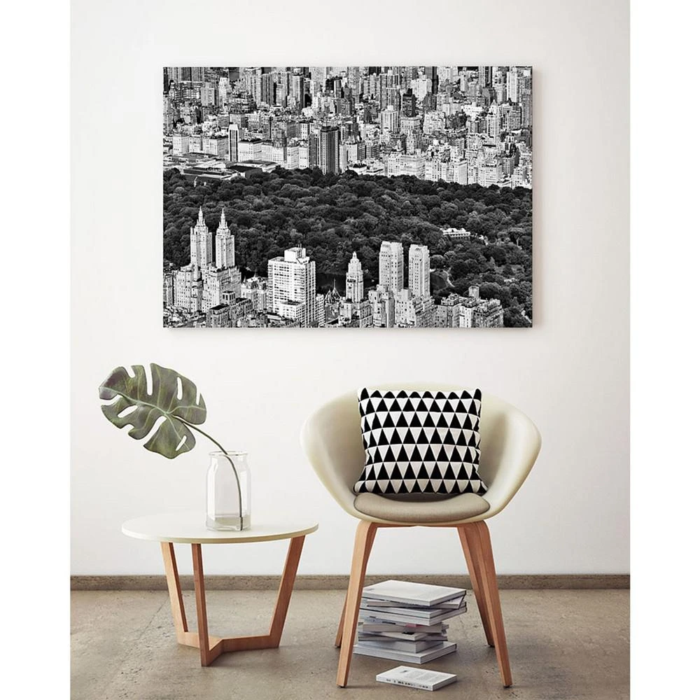 24" x 18" NYC Central Park Museum Mounted Canvas Print 商品
