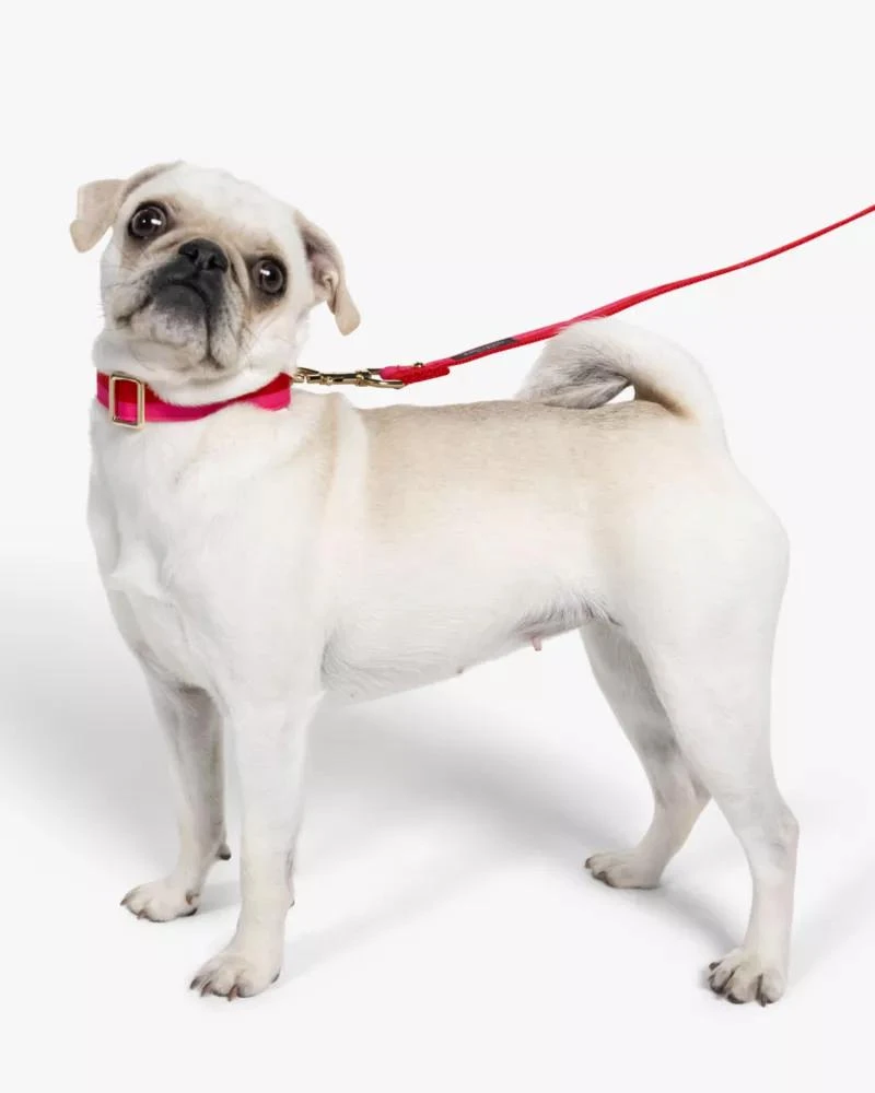 商品Kate Spade|Colorblock Collar,价格¥214,第3张图片详细描述