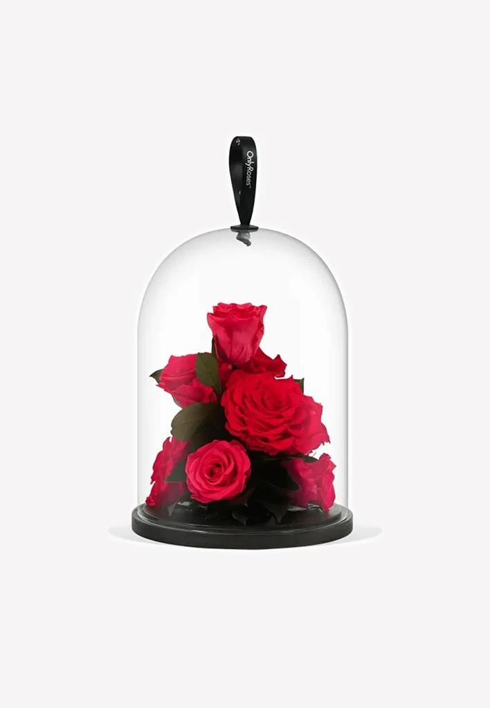 商品OnlyRoses|Infinite Rose Jewel,价格¥4195,第1张图片