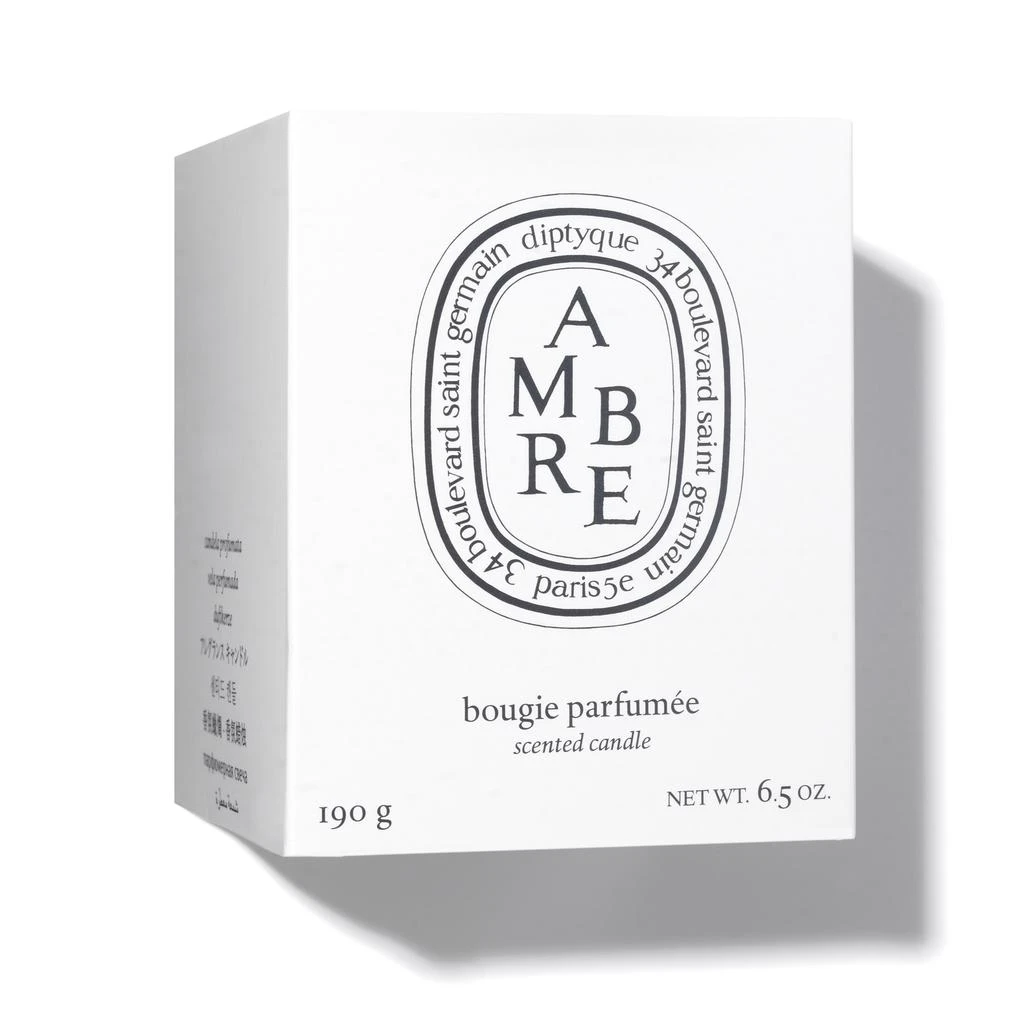 商品Diptyque|Amber Scented Candle,价格¥339-¥542,第3张图片详细描述