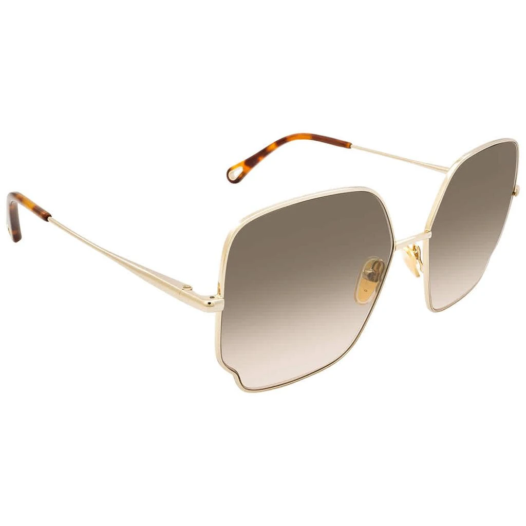 商品Chloé|Chloe Brown Gradient Butterfly Ladies Sunglasses CH0092S 001 60,价格¥1300,第1张图片