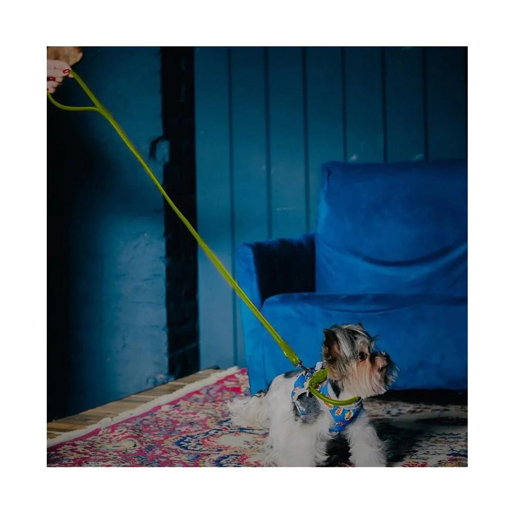 商品Waudog|Glamour genuine leather dog leash, rolled,价格¥268,第3张图片详细描述