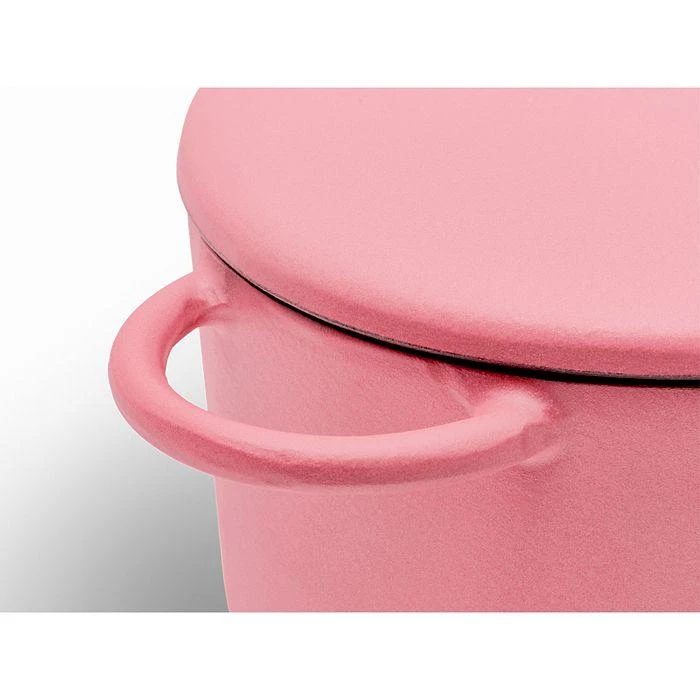 商品Great Jones|The Dutchess Enameled Cast Iron Dutch Oven,价格¥1333,第5张图片详细描述