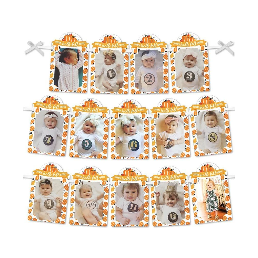 商品Big Dot of Happiness|Fall Pumpkin - DIY Halloween or Thanksgiving Birthday Party Decor - Picture Display - Photo Banner,价格¥120,第1张图片
