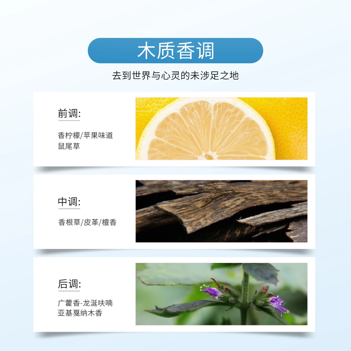 万宝龙探寻旅者浓香水套装60ml+100ml（浓香水60ml+沐浴啫喱100ml） 商品
