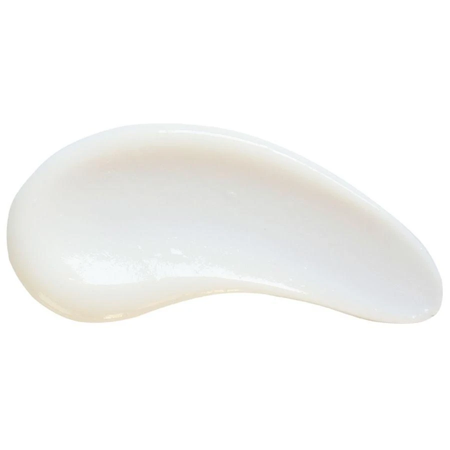Revitalizing Daily Moisturizer 商品