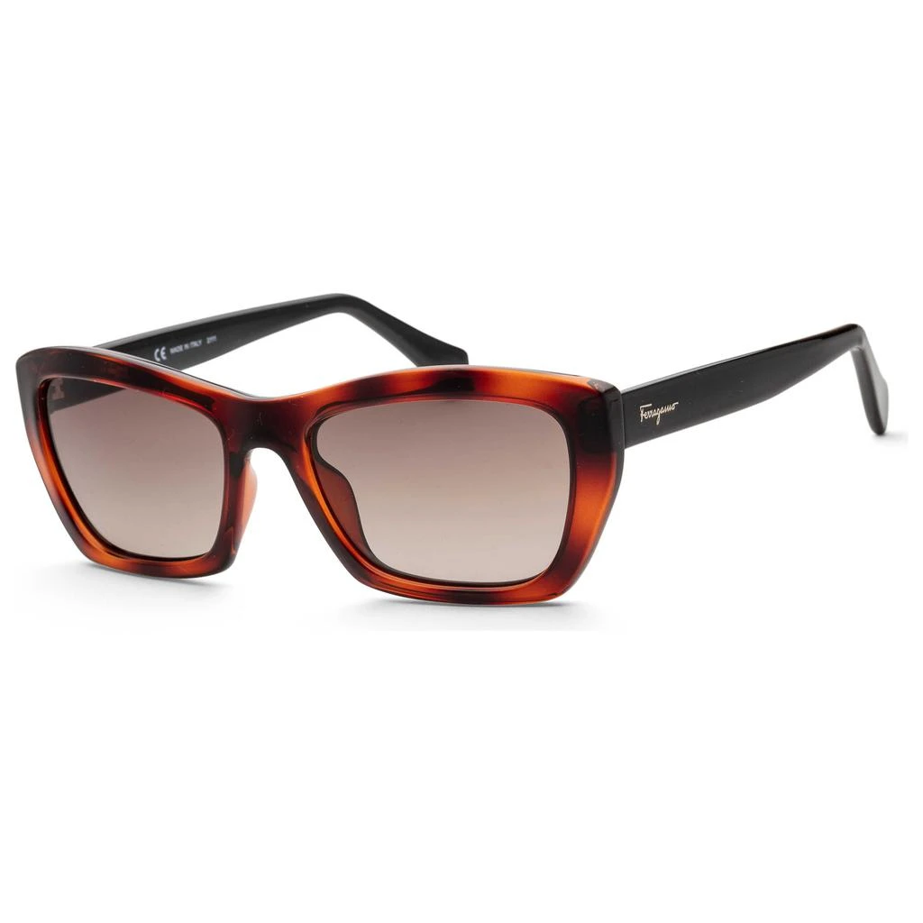 商品Salvatore Ferragamo|Ferragamo Women's Sunglasses SF958S-214,价格¥525,第1张图片