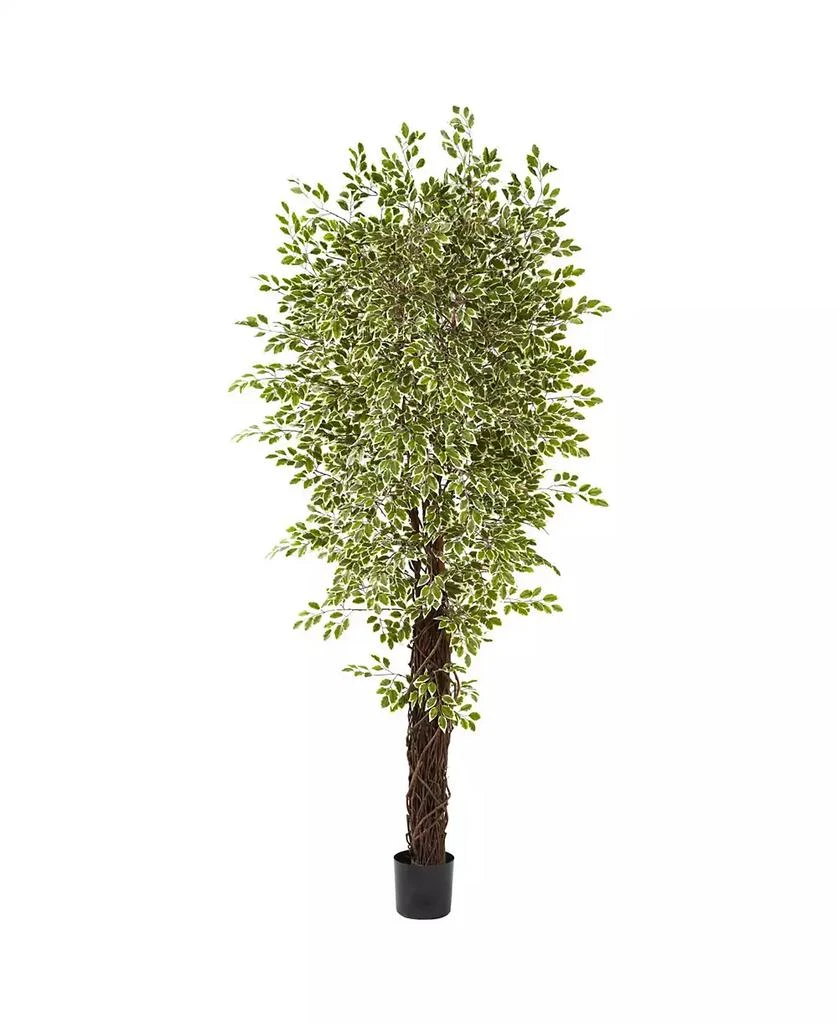 商品NEARLY NATURAL|7.5' Variegated Mini Ficus Tree,价格¥1977,第1张图片