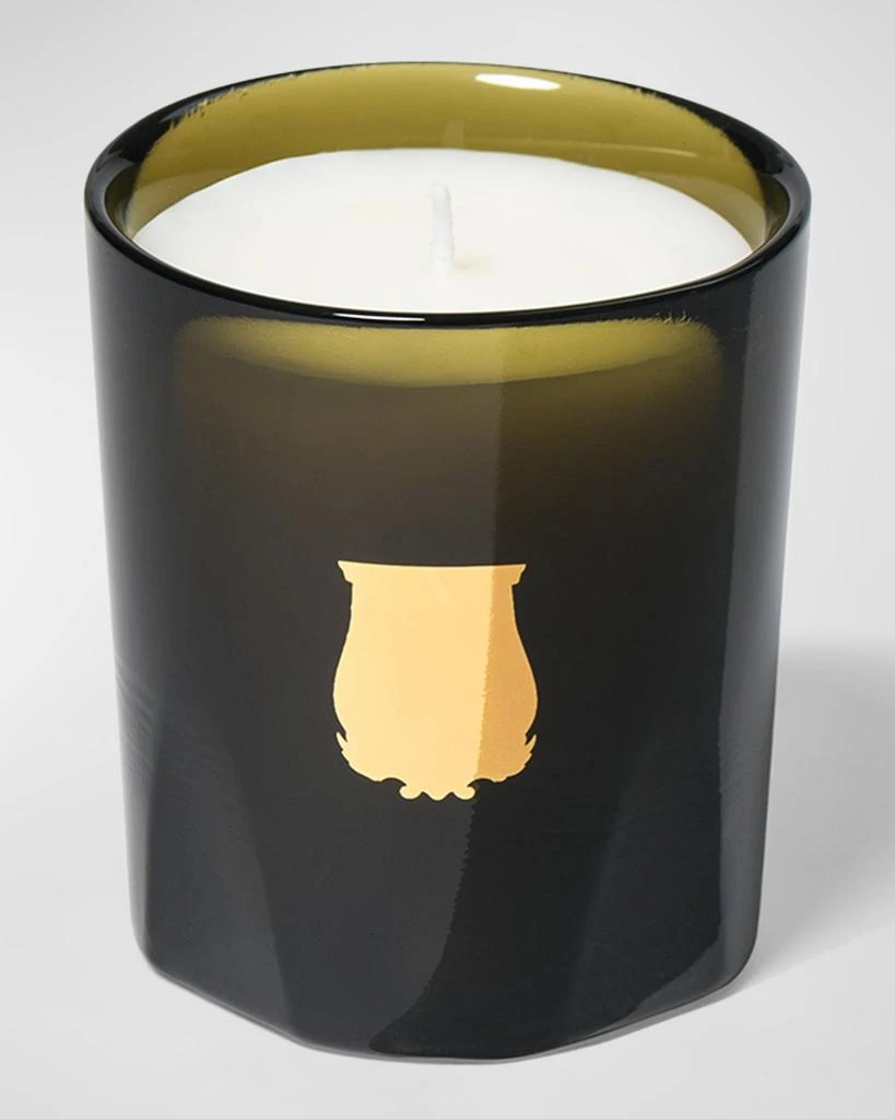 商品TRUDON|Abd El Kader Petit Candle, Moroccan Mint Tea, 2.5 oz.,价格¥399,第1张图片