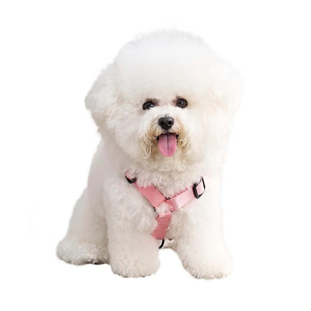 商品Juicy Couture|Bling Velour Pet Harness and Leash 2 Piece Set, Extra Small,价格¥187,第5张图片详细描述