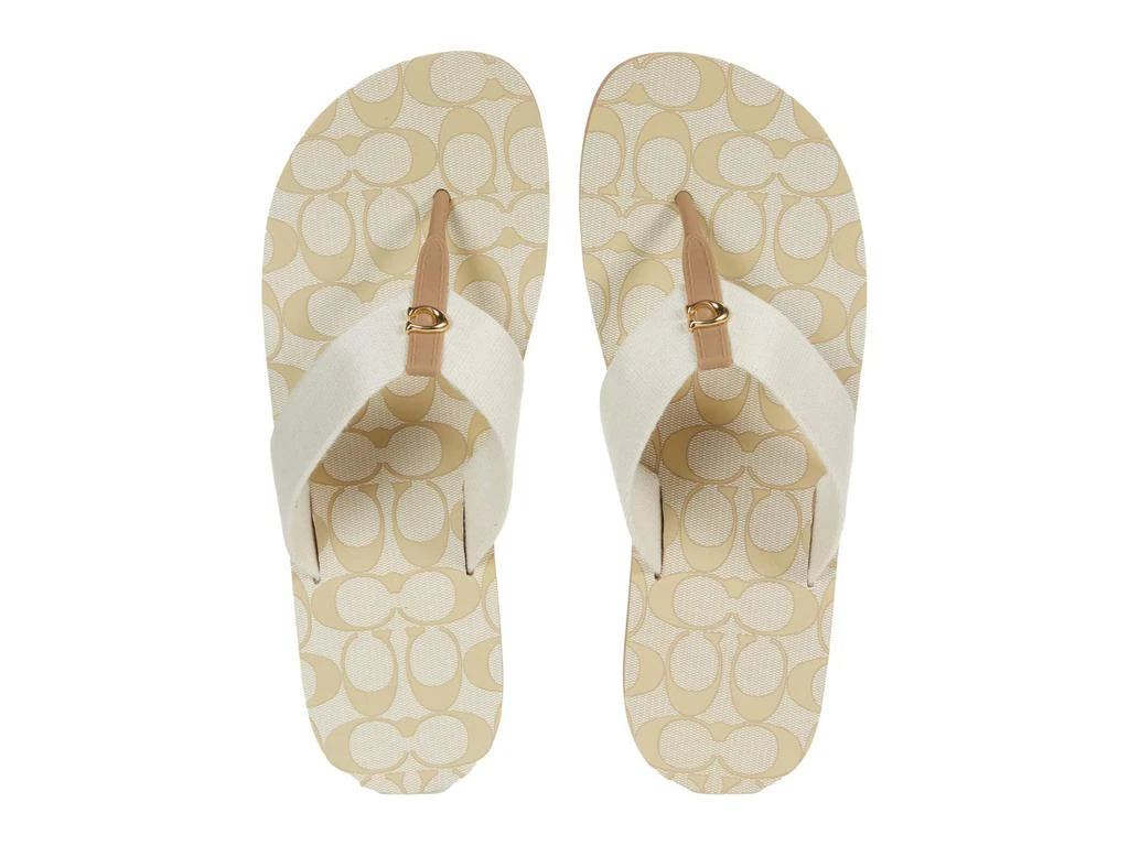 商品Coach|Zoe Flip-Flop,价格¥507,第1张图片