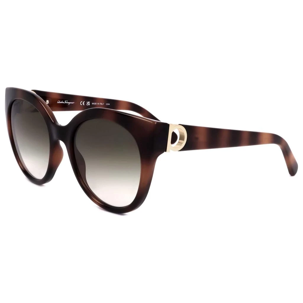 商品Salvatore Ferragamo|Ferragamo Women's Sunglasses SF1031S-214,价格¥525,第1张图片