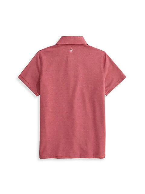 商品Vineyard Vines|Little Boy's & Boy's Stripe Sankaty Polo,价格¥275,第3张图片详细描述