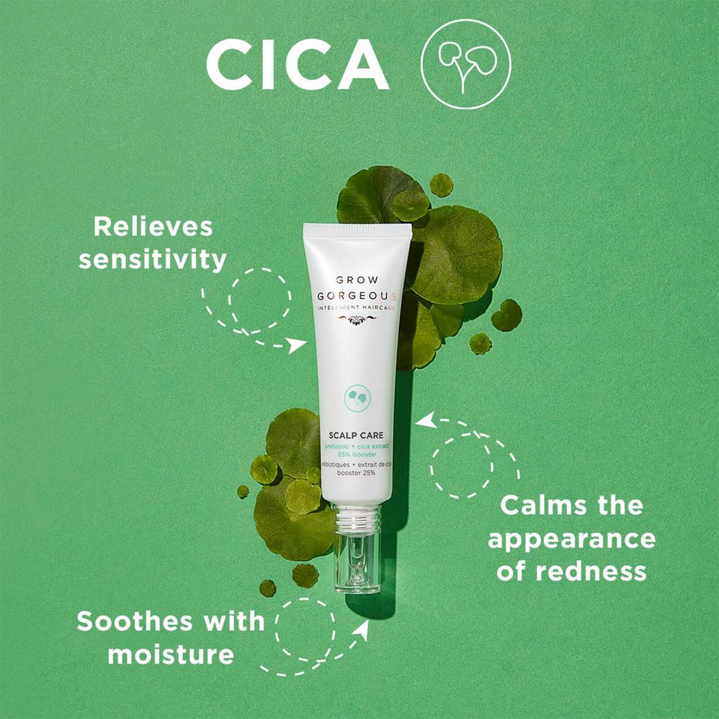 Scalp Care Soothing Cica Extract 25% Booster + Prebiotic(FREE MINI)商品第3张图片规格展示