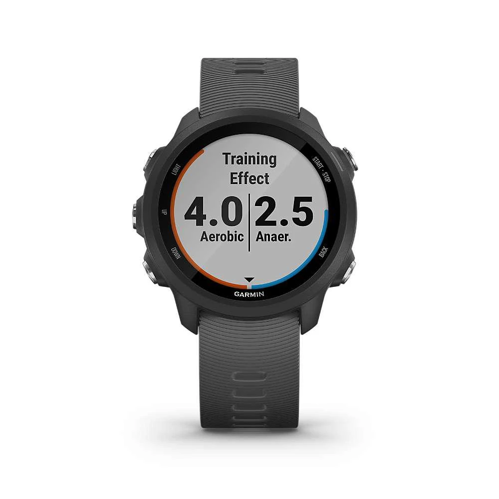 Garmin Forerunner 245 商品