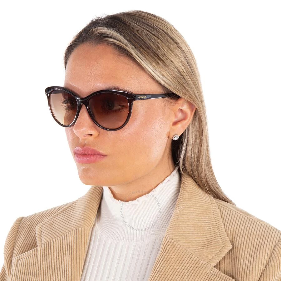 商品Calvin Klein|Calvin Klein Brown Cat Eye Ladies Sunglasses CK19534S 210 58,价格¥221,第2张图片详细描述