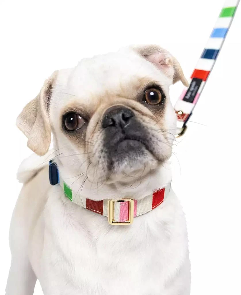 商品Kate Spade|Adventure Stripe Dog Leash,价格¥129,第3张图片详细描述