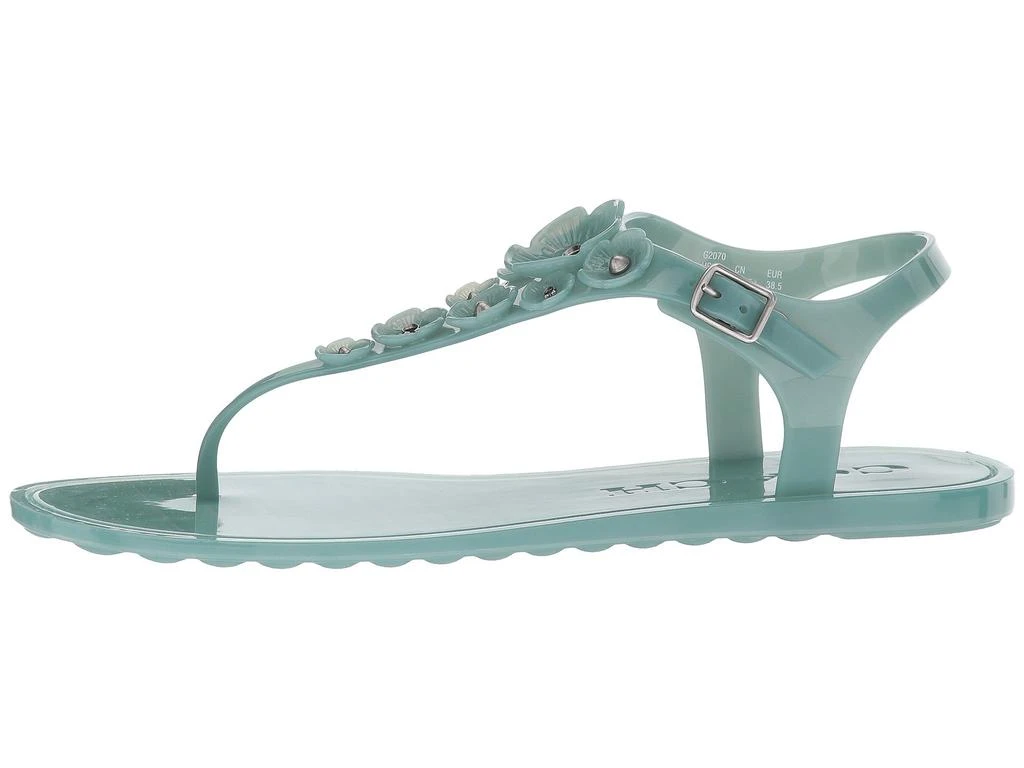商品Coach|Tea Rose Jelly Sandal,价格¥443,第4张图片详细描述