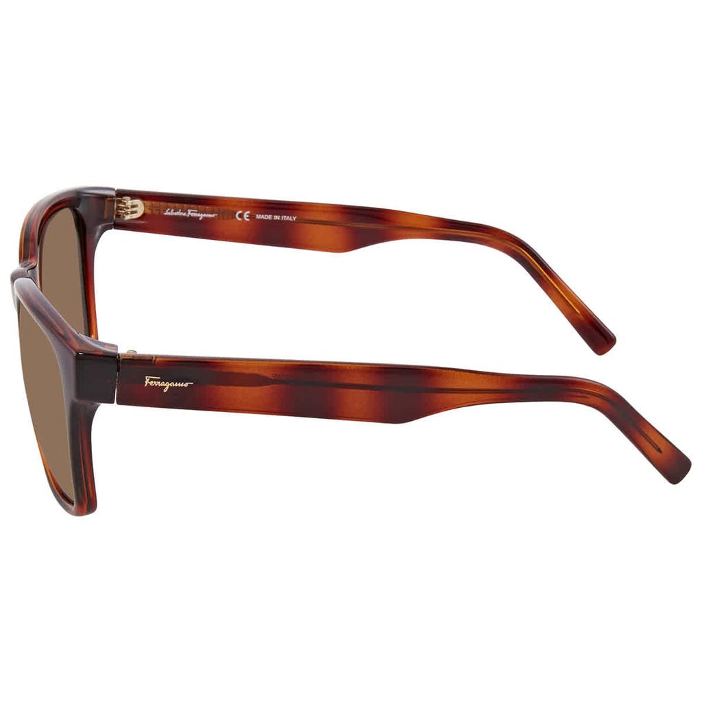 Salvatore Ferragamo Green Square Ladies Sunglasses SF959S 214 55商品第3张图片规格展示