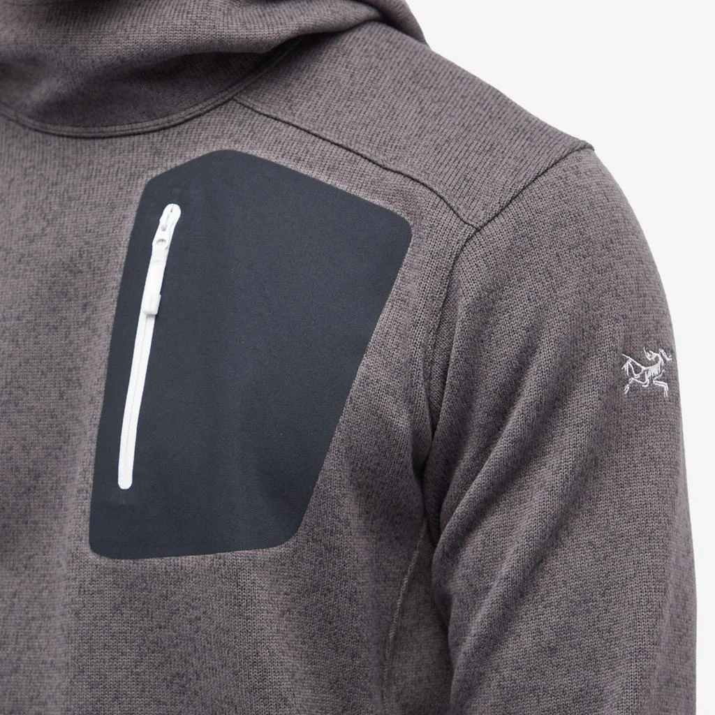 商品Arc'teryx|Arc'teryx Covert Pullover Hoodie,价格¥1587,第5张图片详细描述