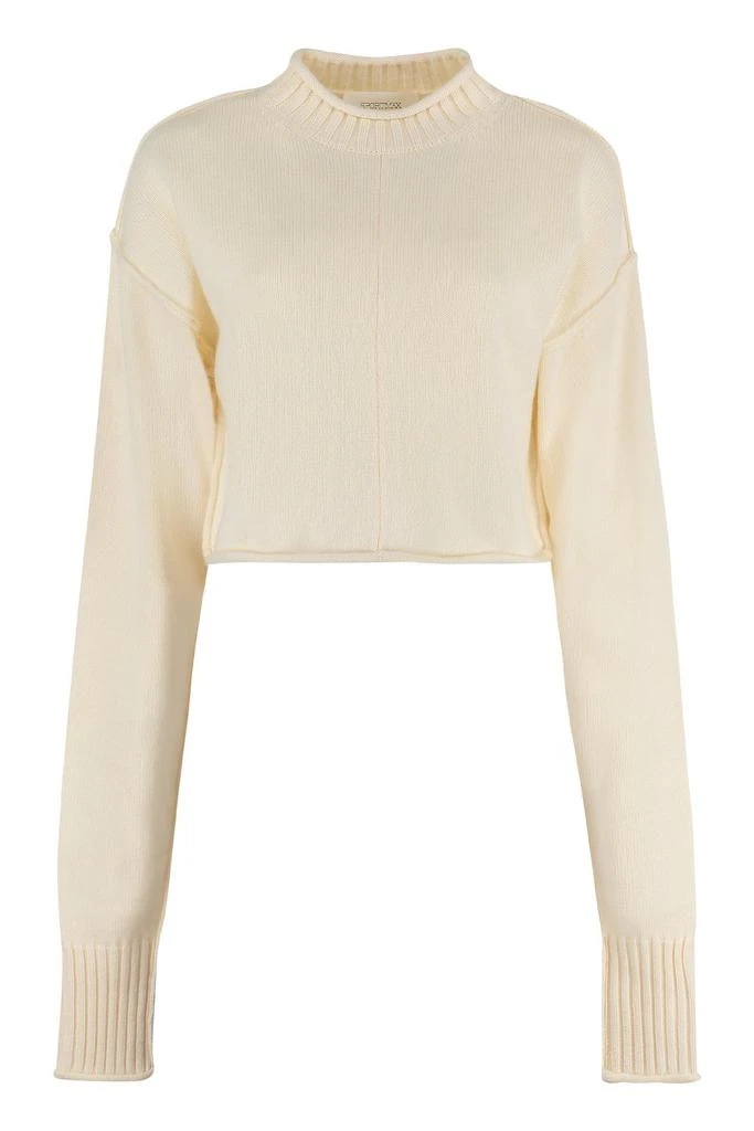 商品Max Mara|Sportmax Crewneck Long-Sleeved Jumper,价格¥1322,第1张图片