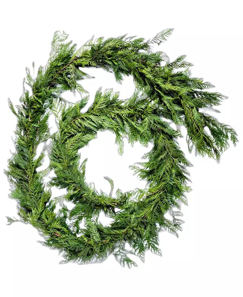 商品International Christmas Innovation|Fresh Premier Cedar Garland, 10',价格¥389,第1张图片