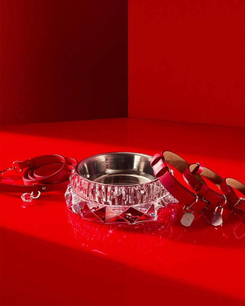 商品Baccarat|Louxor Pet Collar, Small,价格¥5730,第5张图片详细描述
