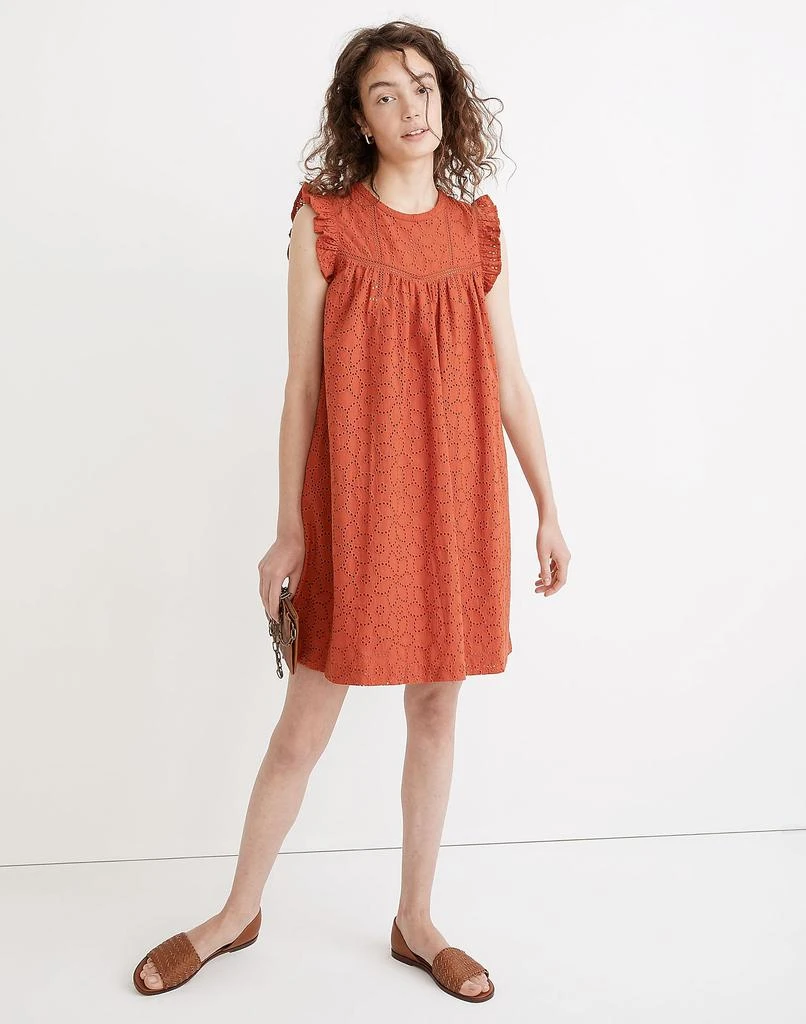 商品Madewell|Eyelet Ruffle-Sleeve Mini Dress,价格¥398,第1张图片