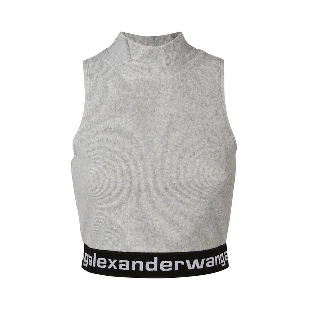 ALEXANDER WANG 灰色女士T恤 4CC2211212-030 商品