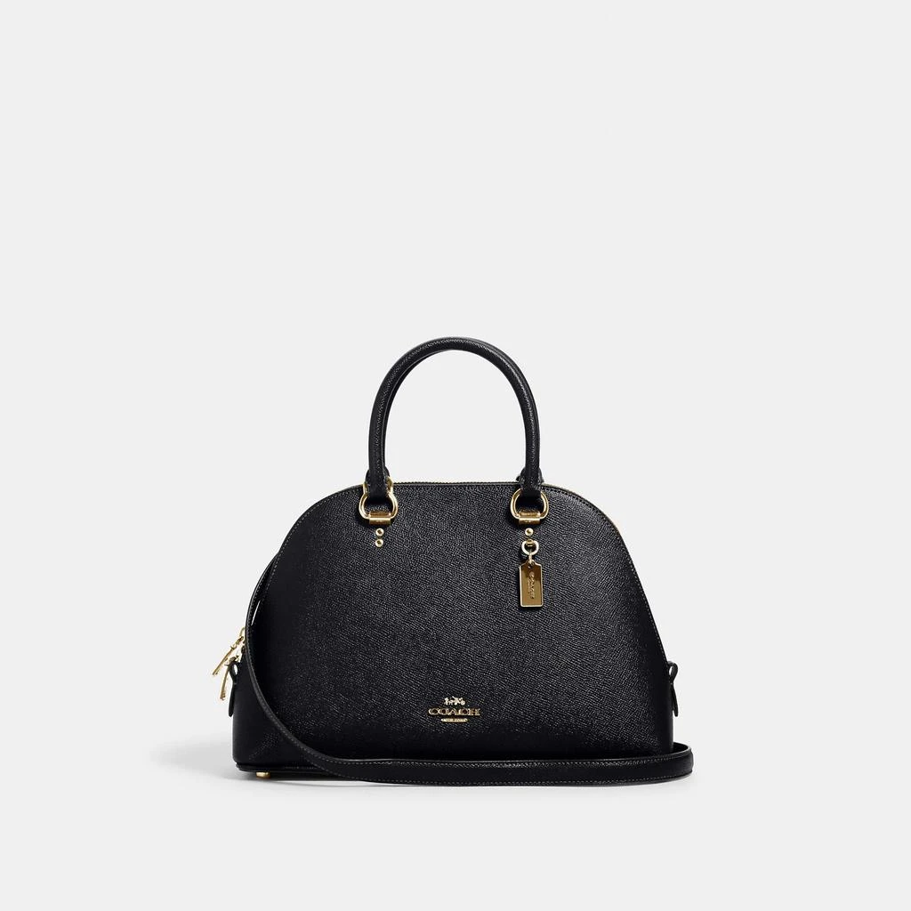 COACH Katy Satchel 商品