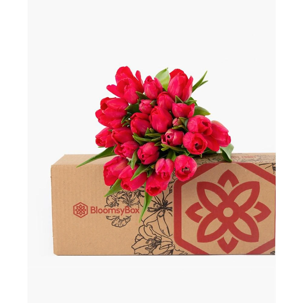 商品BloomsyBox|Radiant Red Tulips Fresh Flower Bouquet,价格¥427,第3张图片详细描述