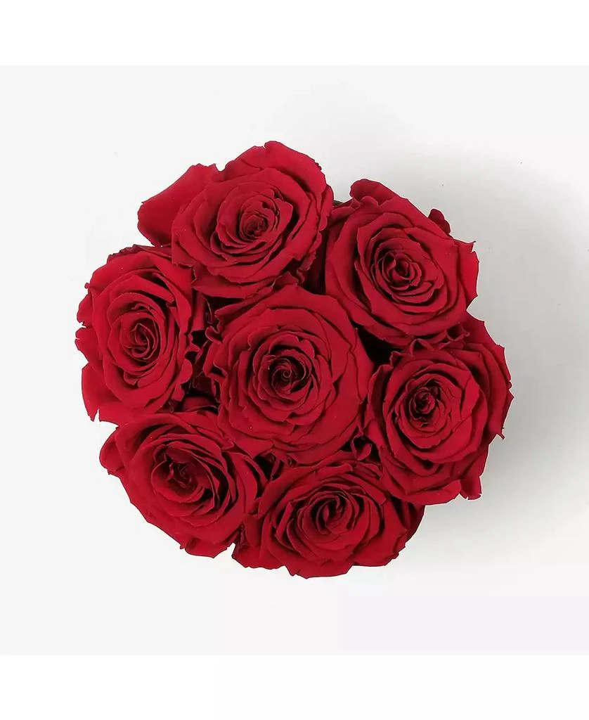 商品Infinity Roses|Round Box of 7 Red Real Roses Preserved To Last Over A Year,价格¥1042,第3张图片详细描述