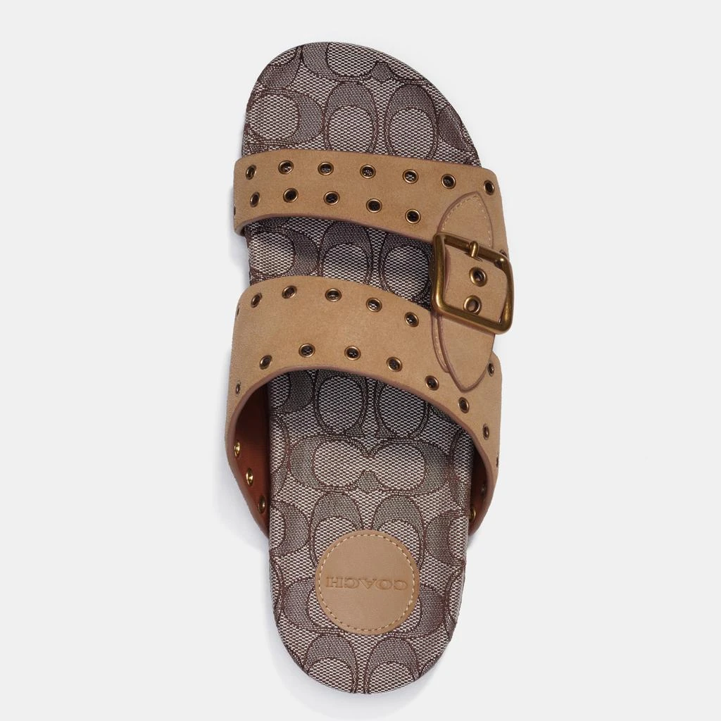 商品Coach|Coach Women's Ally Suede Double Strap Sandals - Peanut/Oak,价格¥690,第3张图片详细描述