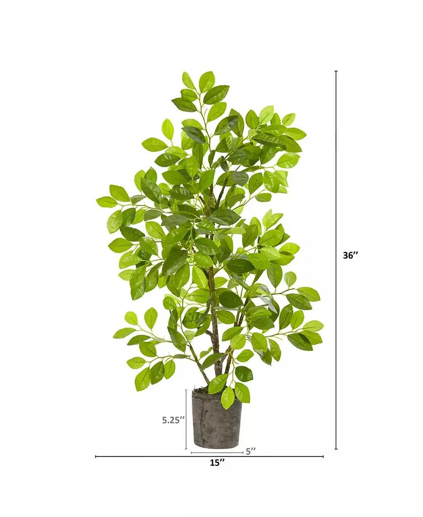 商品NEARLY NATURAL|3' Ficus Artificial Tree in Planter,价格¥895,第3张图片详细描述