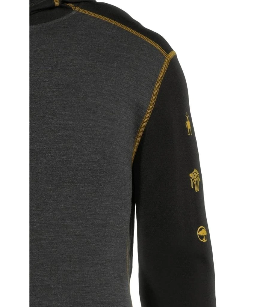 Merino 250 Base Layer Hoodie 商品