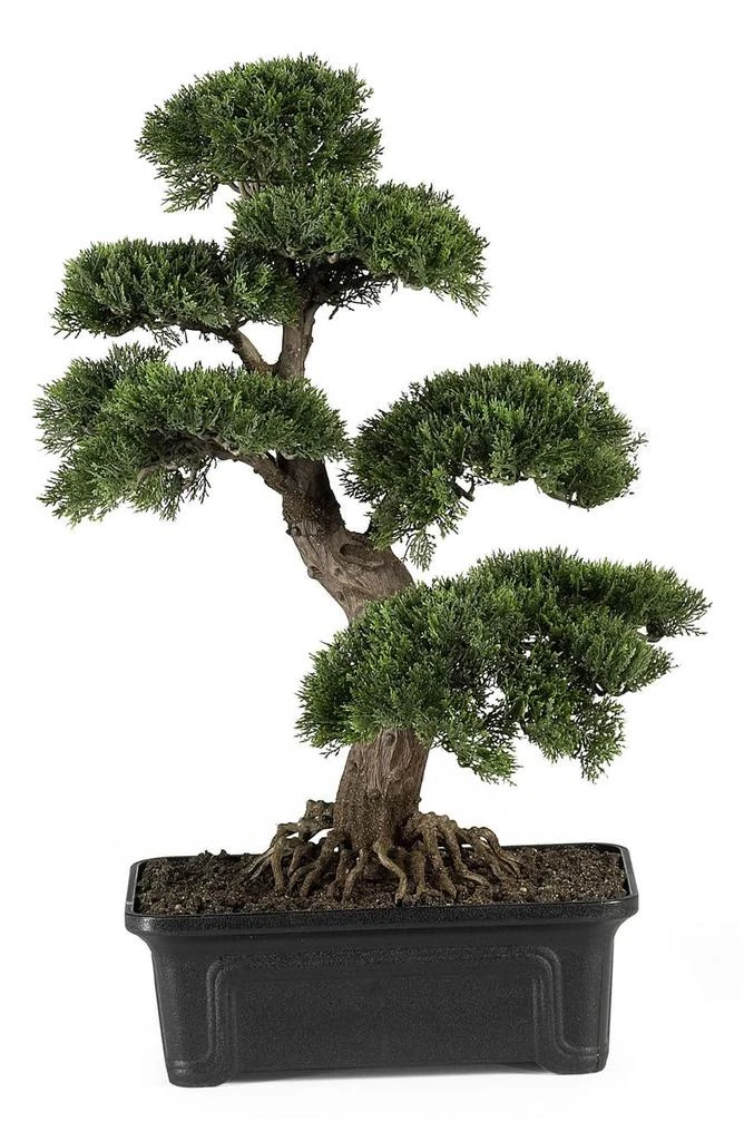 商品NEARLY NATURAL|Cedar Bonsai Artificial Tree,价格¥1278,第1张图片