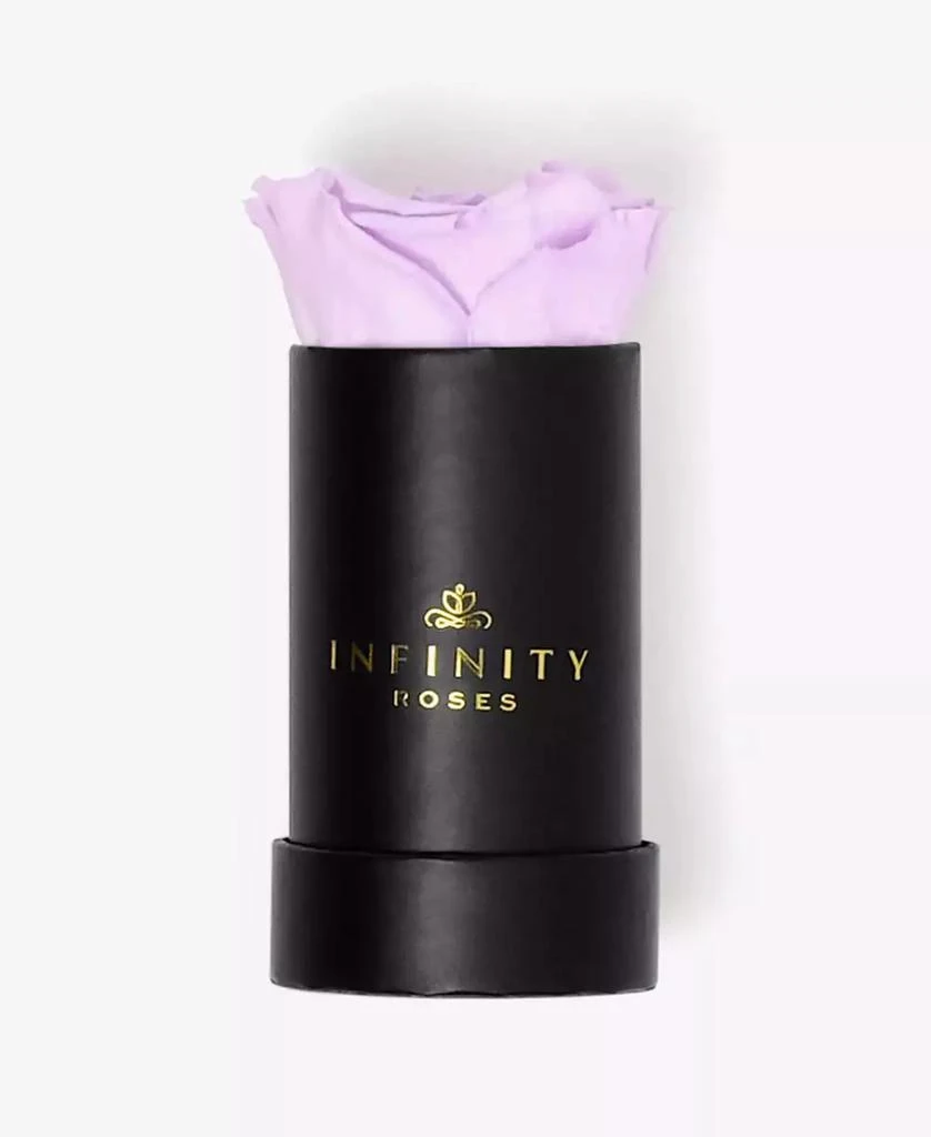 商品Infinity Roses|Single Lavender Real Rose Preserved To Last Over A Year,价格¥299,第3张图片详细描述