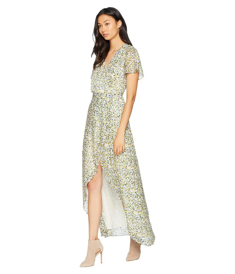 商品Juicy Couture|Ditsy Burnout Chiffon Maxi Dress,价格¥893,第2张图片详细描述